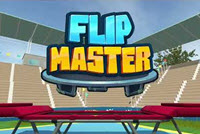 Flip Master img